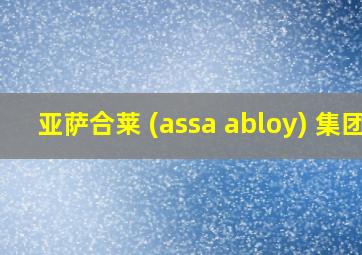 亚萨合莱 (assa abloy) 集团